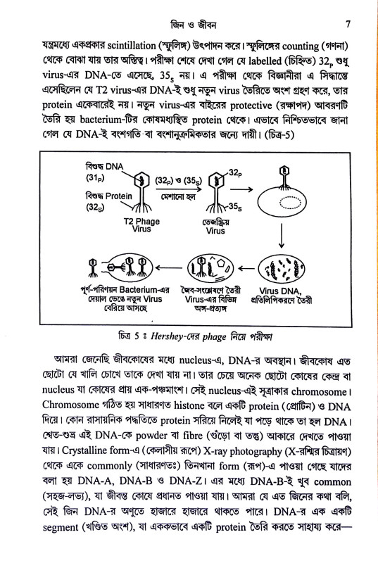 জিন ও জীবন Jin o jīban