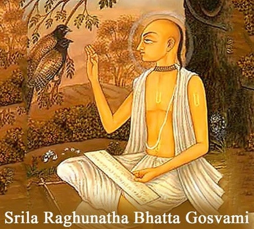 শ্রীল রঘুনাথ গোস্বামী Srila Raghunatha Goswami
