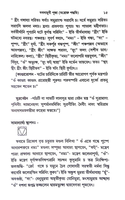 বগলামুখী পূজা Baglamukhi Puja