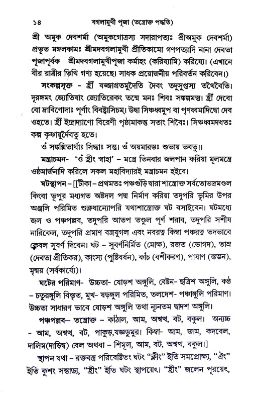 বগলামুখী পূজা Baglamukhi Puja