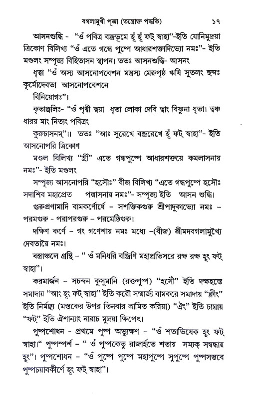 বগলামুখী পূজা Baglamukhi Puja