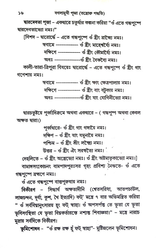 বগলামুখী পূজা Baglamukhi Puja